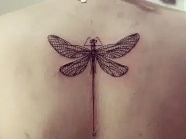 30 Most Beautiful Dragonfly Tattoo Ideas