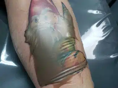 tattoo ink sack